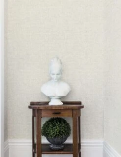 Papyrus Faux Grasscloth Peel + Stick Wallpaper -Lulu Andgeorgia Shop PSW1041RL YWDD99PapyrusWeave 1