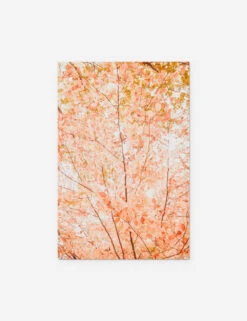 Pastel Fall Tree Photography Print By Ingrid Beddoes -Lulu Andgeorgia Shop PastelFallTree