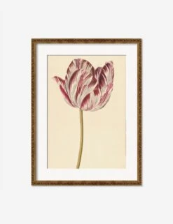 Red And White Tulip Print -Lulu Andgeorgia Shop RedandWhiteTulipBronzeGoldOrnateMatted
