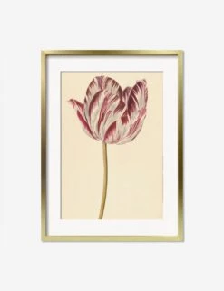 Red And White Tulip Print -Lulu Andgeorgia Shop RedandWhiteTulipGoldMatted