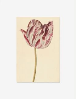 Red And White Tulip Print -Lulu Andgeorgia Shop RedandWhiteTulipUnframedPrint