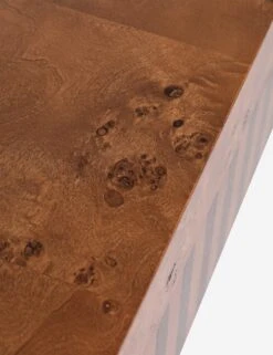 Sabal Console Table By Carly Cushnie -Lulu Andgeorgia Shop SabalConsoleTablebyCarlyCushnie AntiqueBurl A0658103 Product 0179