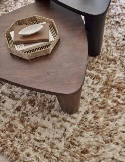 Trio Nesting Coffee Table -Lulu Andgeorgia Shop TeeganRugLivingRoom 4734 SITECROP 2 9e31f075 2696 4854 a967 436fb9834012