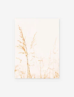 Wild Grass Photography Print By Ingrid Beddoes -Lulu Andgeorgia Shop WildGrass