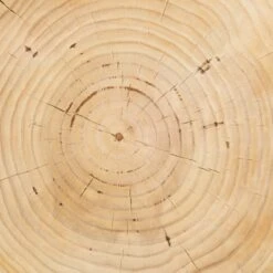 Solaro Side Table -Lulu Andgeorgia Shop cbsh 024 det 2