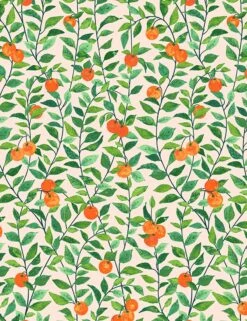 Orange Crush Wallpaper By Nathan Turner -Lulu Andgeorgia Shop orange crush peach wallpaper sized 12a94e44 bc23 42fd 9c42 184fcbb75cc8
